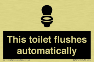 This toilet flushes automatically